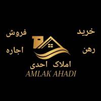 امین احدی پروفایل