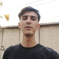 آرمین سواری پروفایل