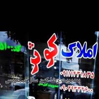 رضا کهن سال بیجارپس پروفایل