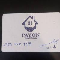 تیموری پروفایل