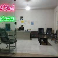 سعید محمدی  پروفایل