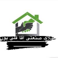 محمدقلی پور پروفایل