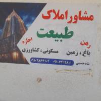 آقارضا شاه حسینی  پروفایل