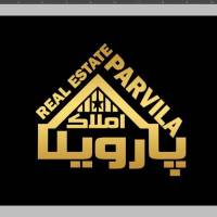 امیرعلی قیطانی پروفایل