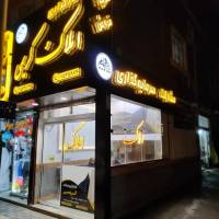 محمدحسین حامدی پروفایل
