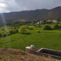 بهروز قلی بیگی پروفایل