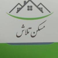 فاطمی پروفایل