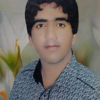 محمدعلی شهرکی پروفایل