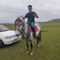 املاک فجر سعید سروری  پروفایل