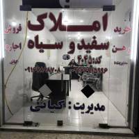 مشاور رضاکیانی شاوندی پروفایل
