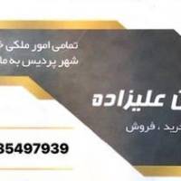 امین علیزاده پروفایل