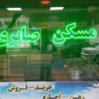 داودصابری پروفایل