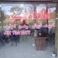امینی پروفایل