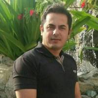 امین قربانی پروفایل