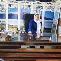 بی شایسته حسینی پروفایل