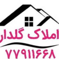 حسین پشنگ پور پروفایل