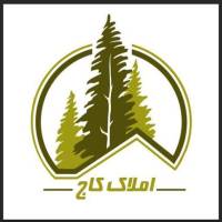 دانیال زنگنه پروفایل