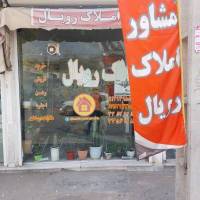 رویال پروفایل