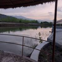 خانم پاشایی پروفایل