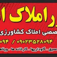 حسین ادگی  پروفایل