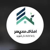 سعید هاتفی پروفایل