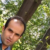 مجید جوانمرد پروفایل
