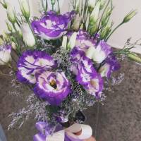 ن شایسته پروفایل