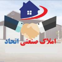 هادی پروفایل