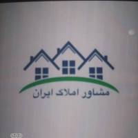 سامان شکوهی پروفایل