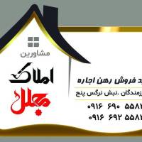 پیروز حاجی زاده پروفایل