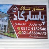 پوریا آمر پروفایل