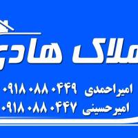 هادی امیراحمدی پروفایل