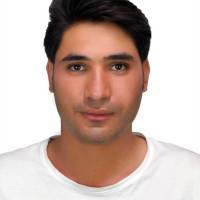 وحید ترکاشوند پروفایل