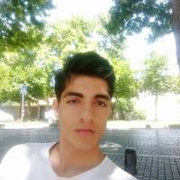 حسین فیروزی  پروفایل