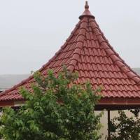 زارعی پروفایل