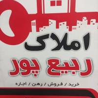 علی ربیع پور پروفایل