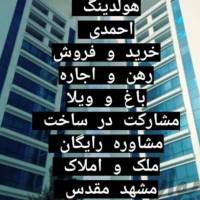علی احمدی پروفایل