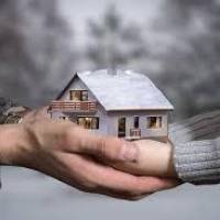 همایی  پروفایل