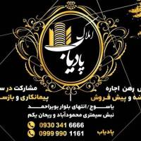 سر دفتر پیمان پادیاب پروفایل