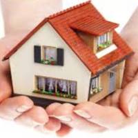 علیرضا مزروعی  پروفایل
