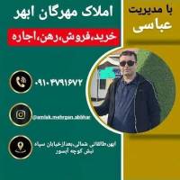 علی عباسی پروفایل