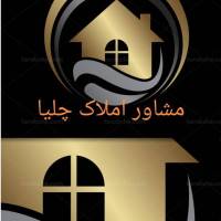 مرتضی شیرنژاد پروفایل