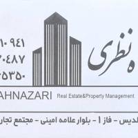 مشاور حسین شاه نظری پروفایل