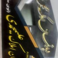 امیر محمد نبی پروفایل