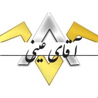 حسام عینی پروفایل