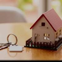 لقمان قادری 09189852380 پروفایل