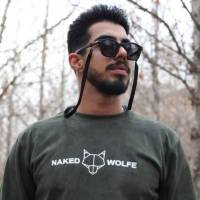 Amir majidi پروفایل