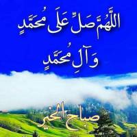 ساریخانی پروفایل