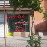 ناصر صالحی پروفایل