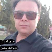 فرزاد راسخی پروفایل